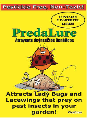 PredaLure - Insektenköder für Nützlinge